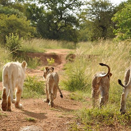 Ukutula Lion Lodge Beestekraal  Zewnętrze zdjęcie
